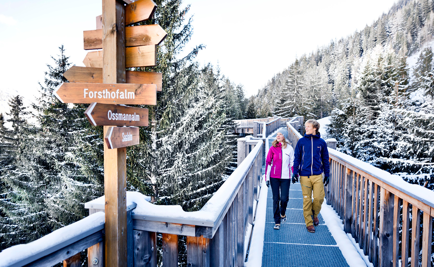 winter baumzipfelweg