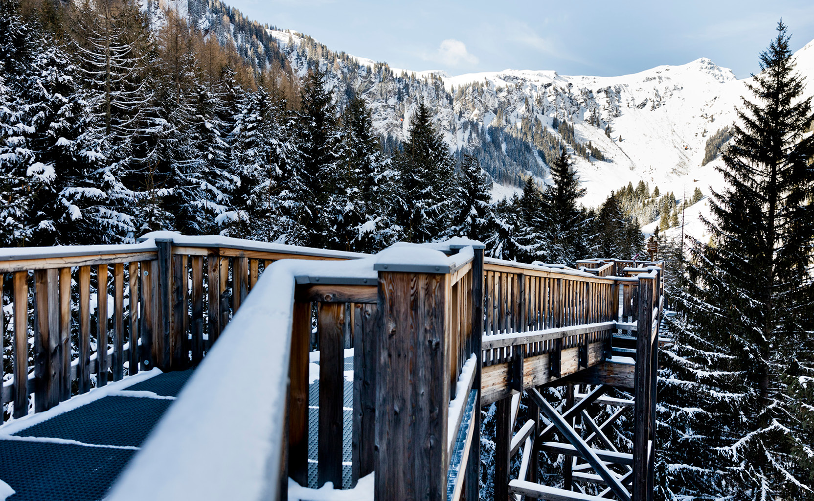 winter baumzipfelweg