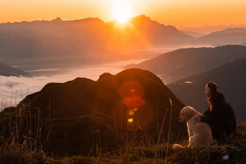 Urlaub mit Hund